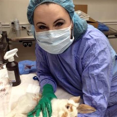 The Best 10 Veterinarians near The Villages, FL 32163 .